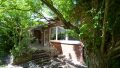 Gartenimpressionen