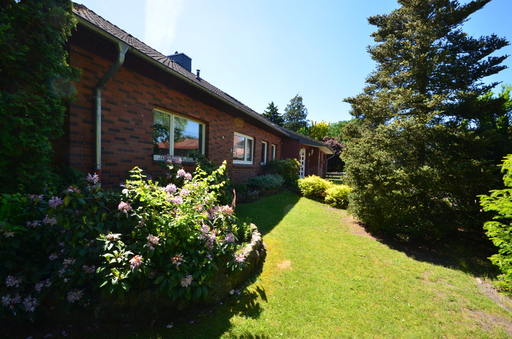 Gartenimpressionen