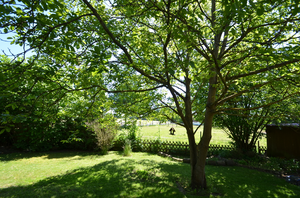 Gartenimpressionen